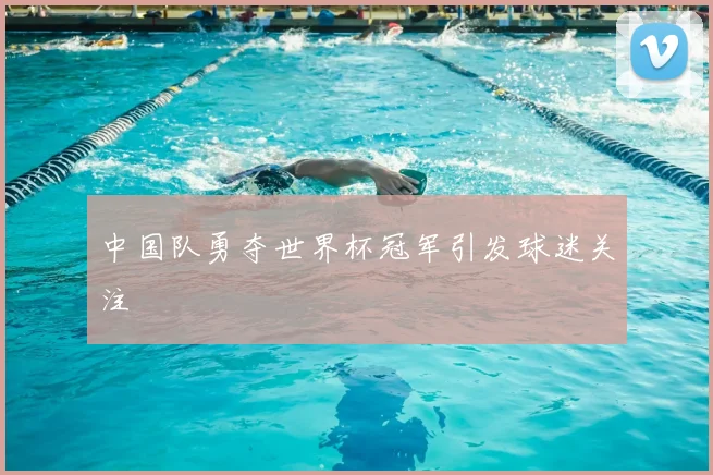 中国队勇夺世界杯冠军引发球迷关注