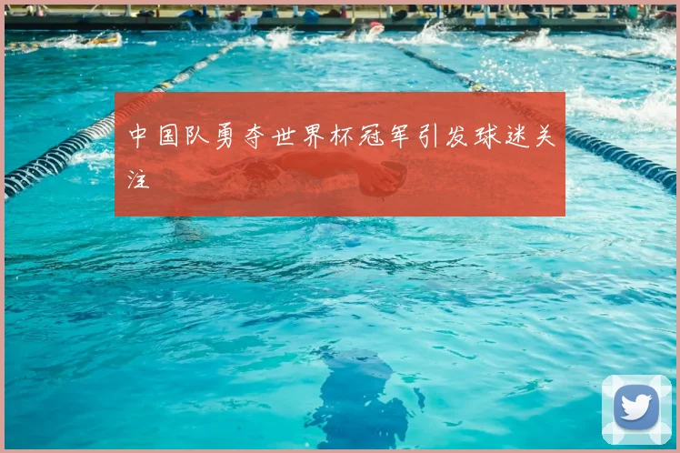 中国队勇夺世界杯冠军引发球迷关注